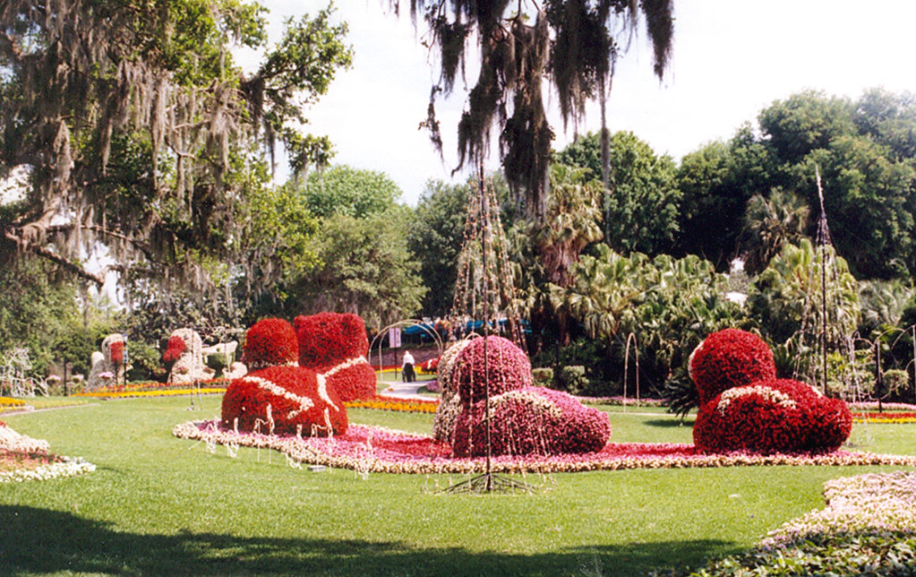 Cypress Gardens Topiary in Spring Cypress Gardens had to… Flickr