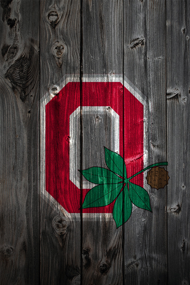 Ohio State Buckeyes Alternate Logo Wood iPhone 4