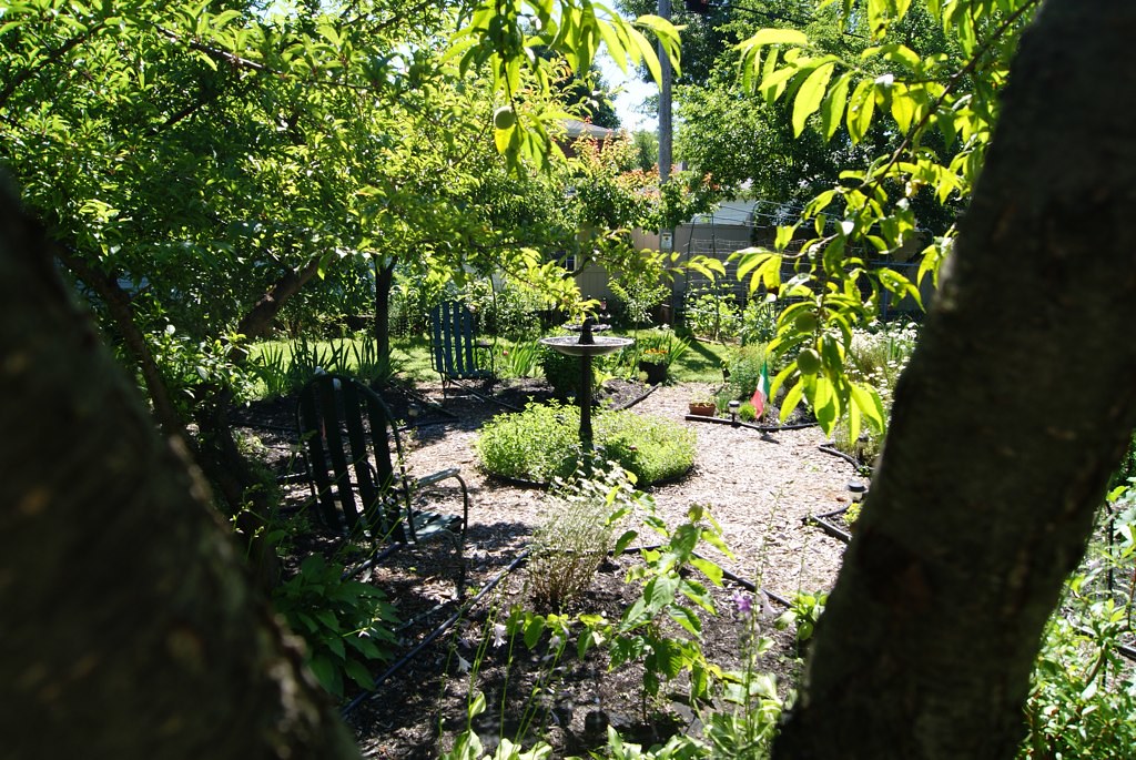 DSC00733 Joseph Battaglia Flickr