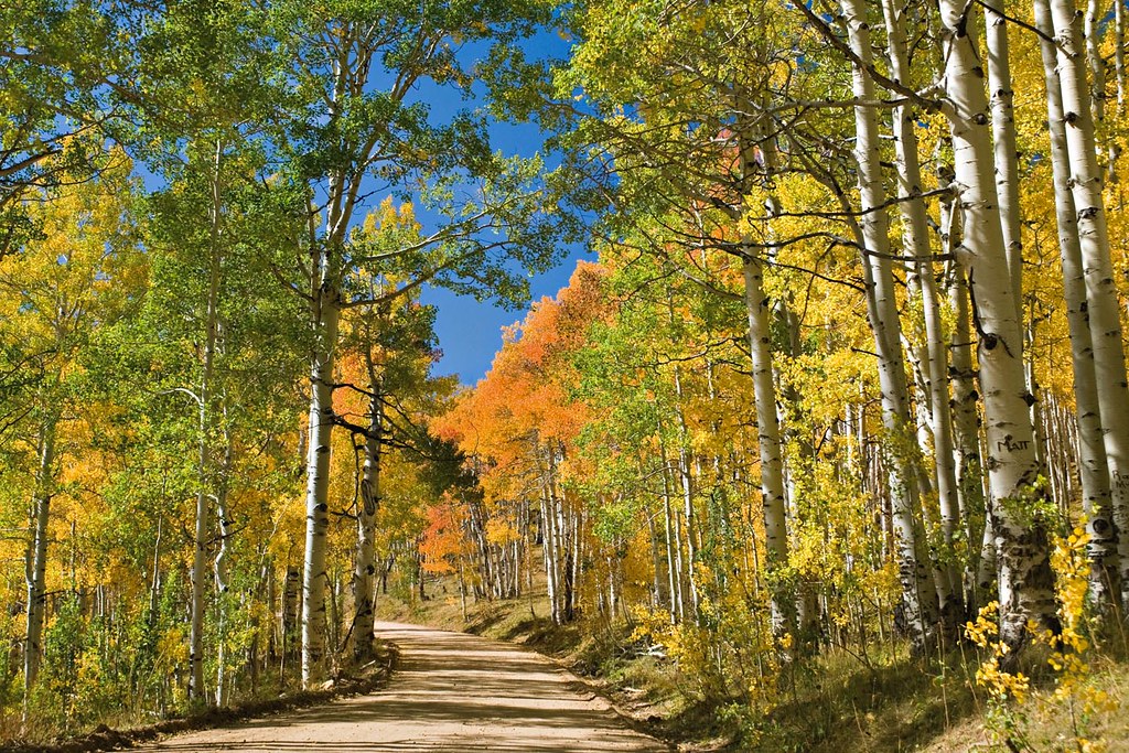 14_High Country Utah Highway 14 goes from Cedar City Utah … Flickr