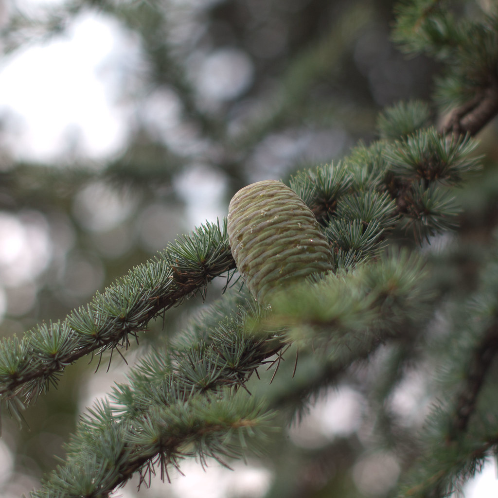 Untitled | lvvl °ω° | Flickr