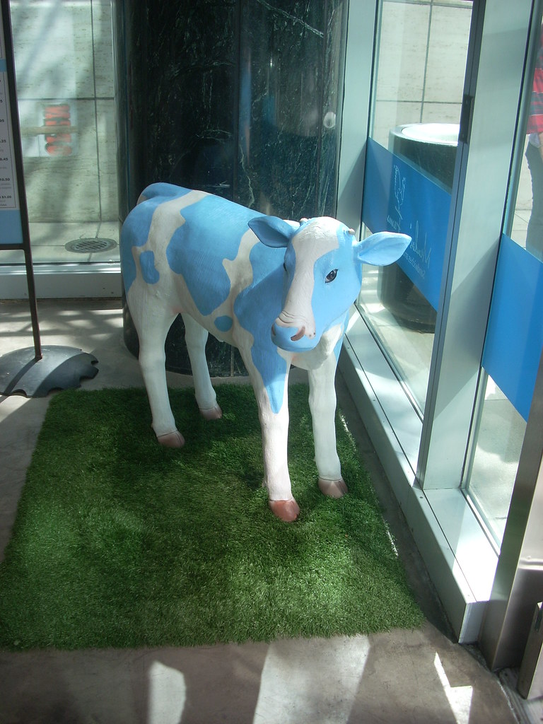 Mendocino Farms Mendo the Blue Cow In the corner of the Fi… Flickr