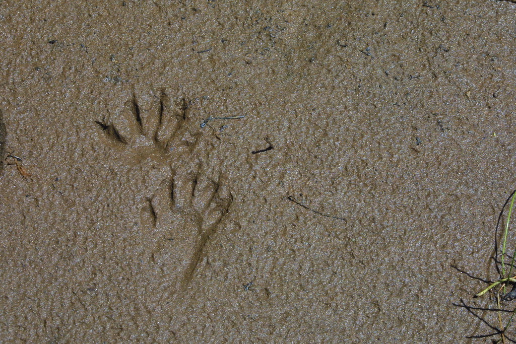 Taylors Falls Hiking 024 Brandi Frakie Flickr