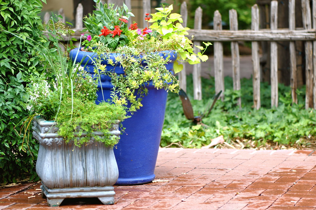 Brick patio Patio planters on brick patio at Tucson Botani… Flickr