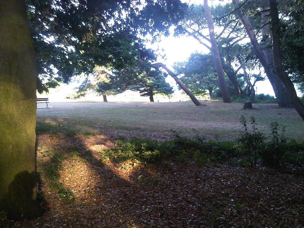 Pine Walk, Durley Gardens, Bournemouth Alwyn Ladell Flickr