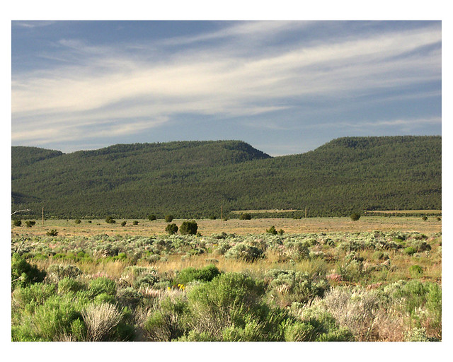 Zuni Mountains Zuni Mountain Sanctuary, New Mexico, June 2… Rory