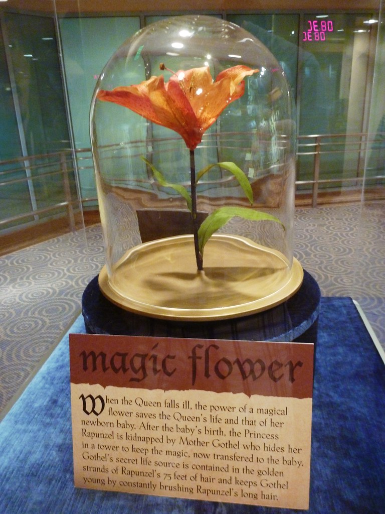 Tangled Magic Flower Flower, gleam and glow Let your powe… Flickr