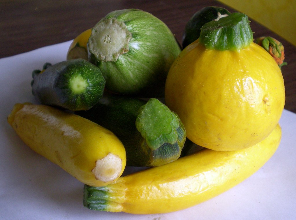 Baby Zucchini From the Capitol Hill Seattle Farmers Market… Jameson