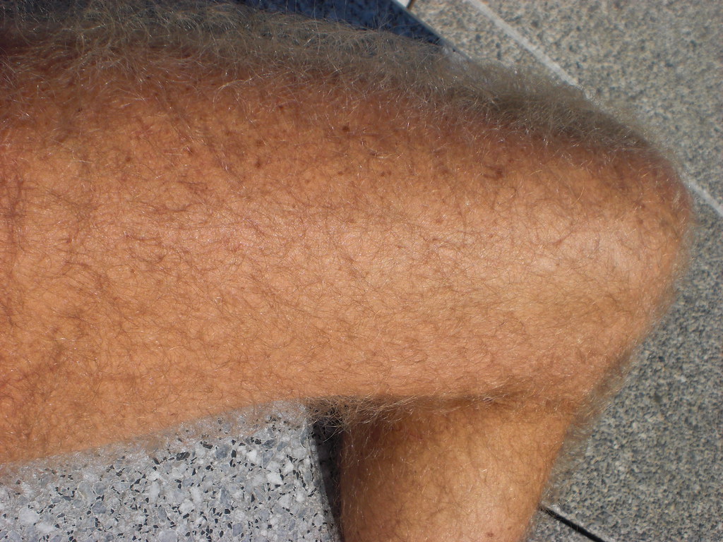 Legs68 My hairy legs Hairy leg Flickr