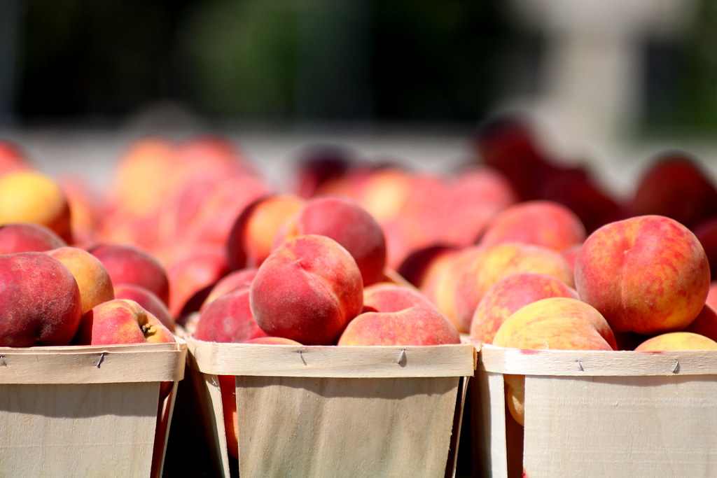 Michigan Peaches Wilmette, IL, 2010 Canon T1i Vivitar 135m… Flickr