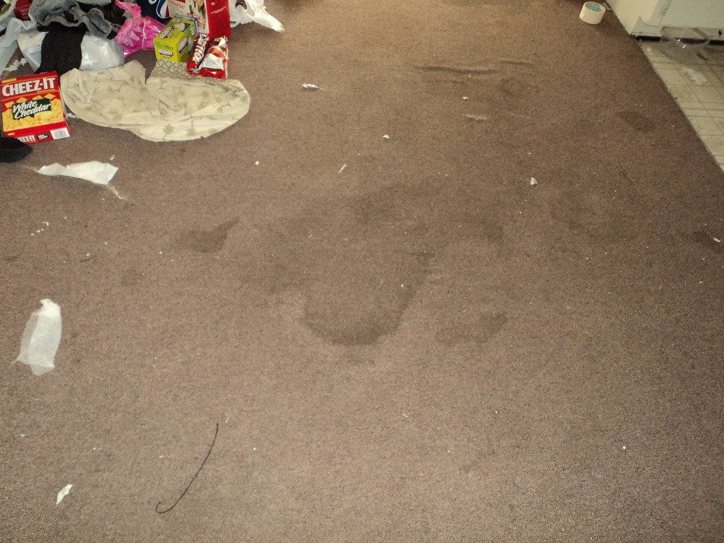 Pauls Rental at 1441 Russel Ln trashed 031