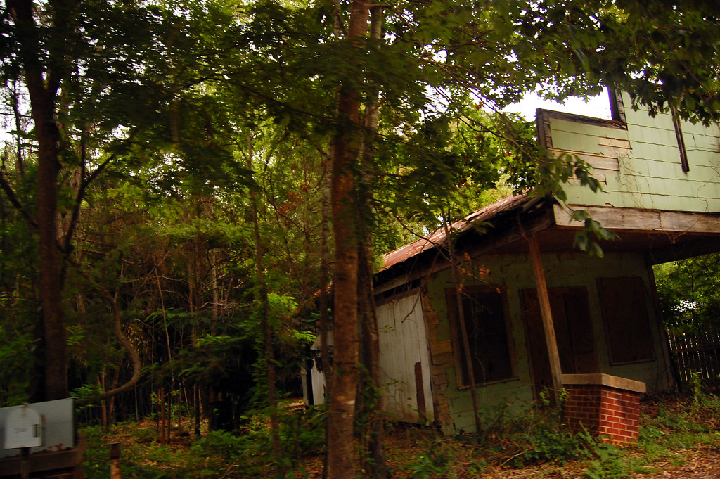 Caddo Lake_2958 Caddo Lake, Uncertain, Texas Omar Bárcena Flickr