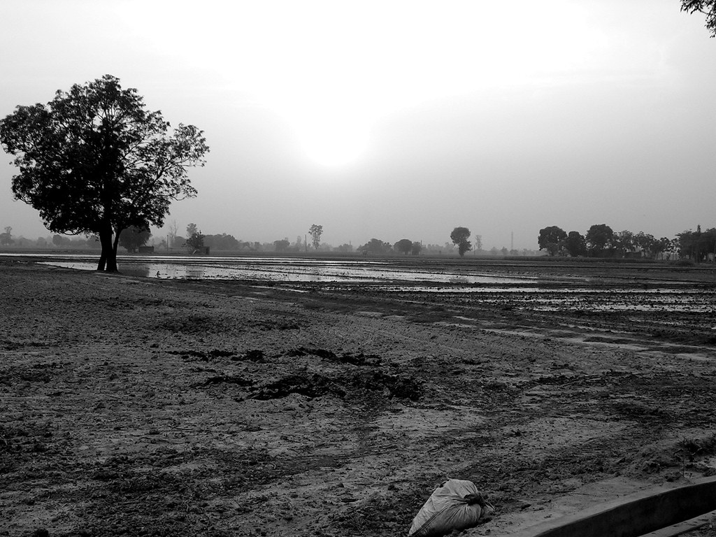 sUnsEt NabhaPunjab superb sunny Flickr