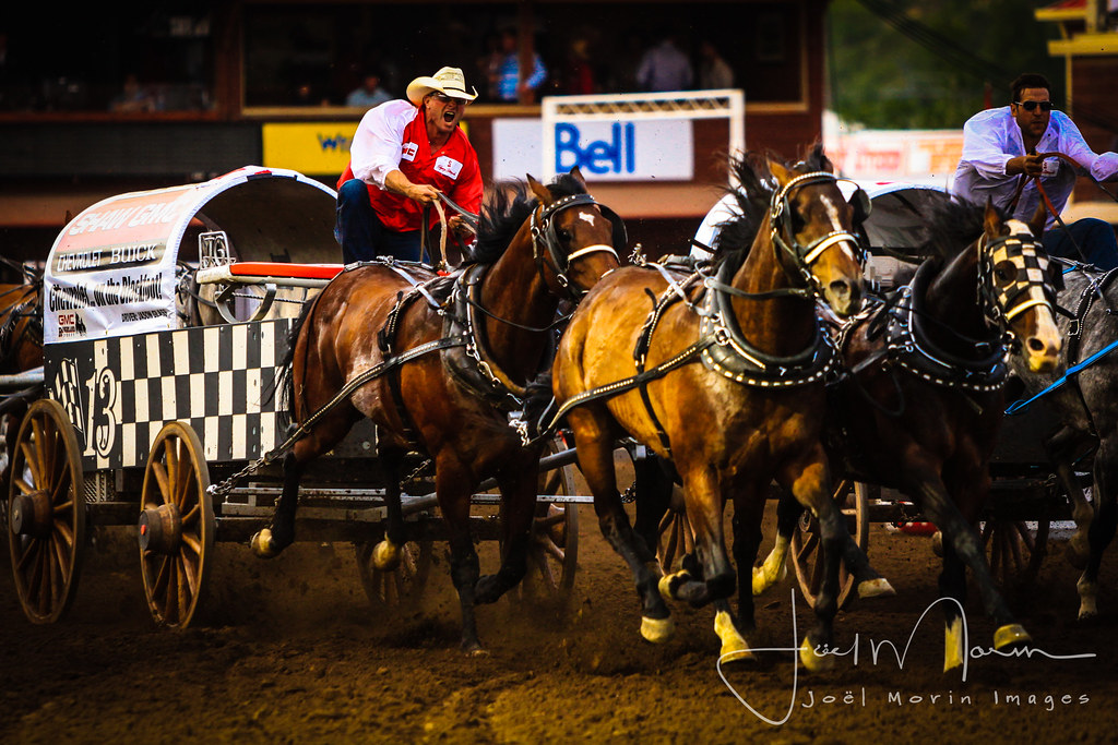 Calgary Stampede Chuckwagon Racing Calgary Stampede Chuckw… Flickr