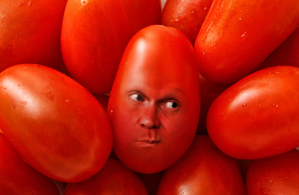 tomato face a photo on Flickriver