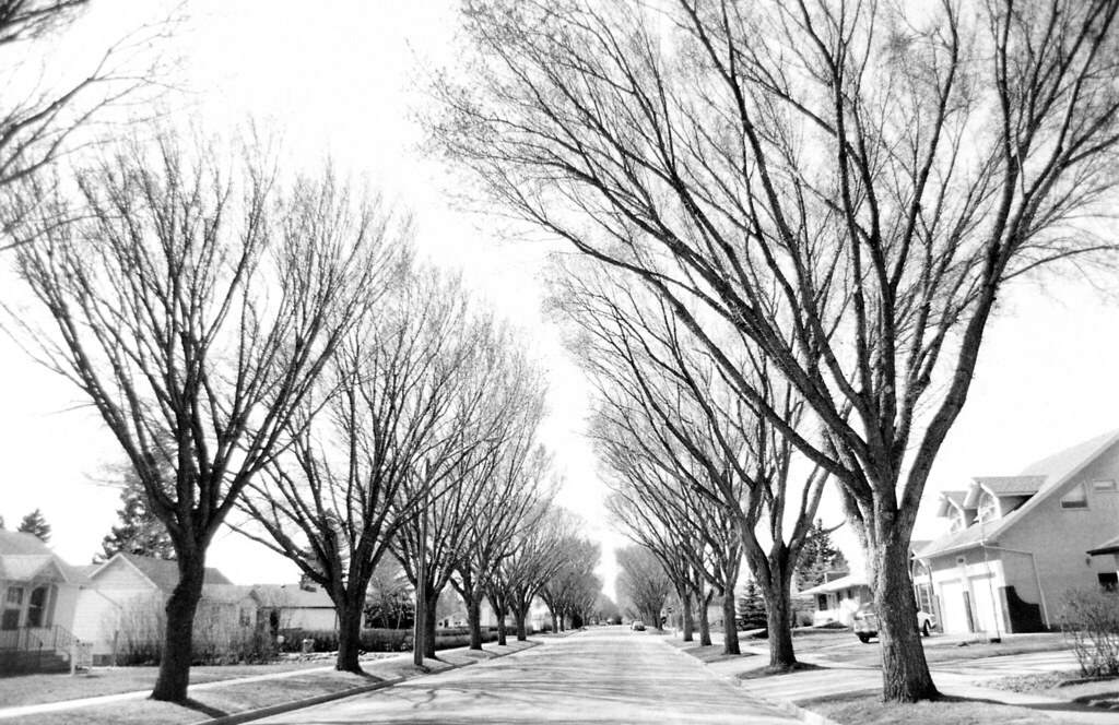 favorite street in (it's way better in late spring… Flickr
