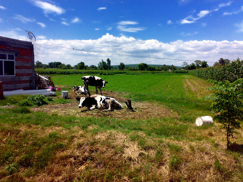 Jaral del Progreso Guanajuato Jaral del Progreso Guanajuat… Flickr