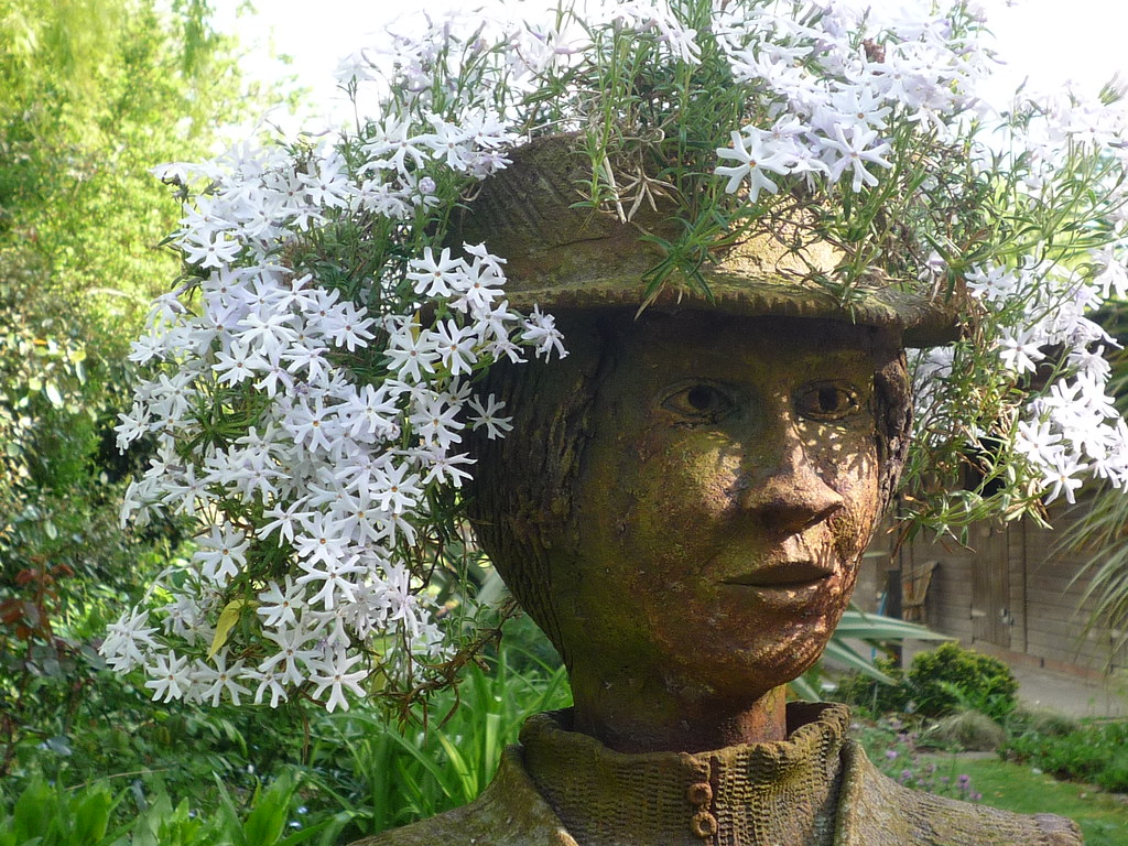 Flowers in your head P1010963 Dunk 🐝 Flickr