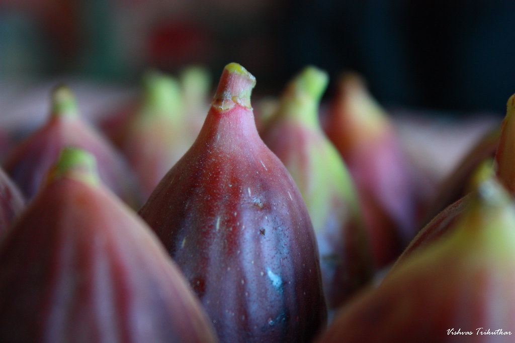 Fresh Figs !!! Got it from COSTCO today. Got to be tasty .… Vishvas