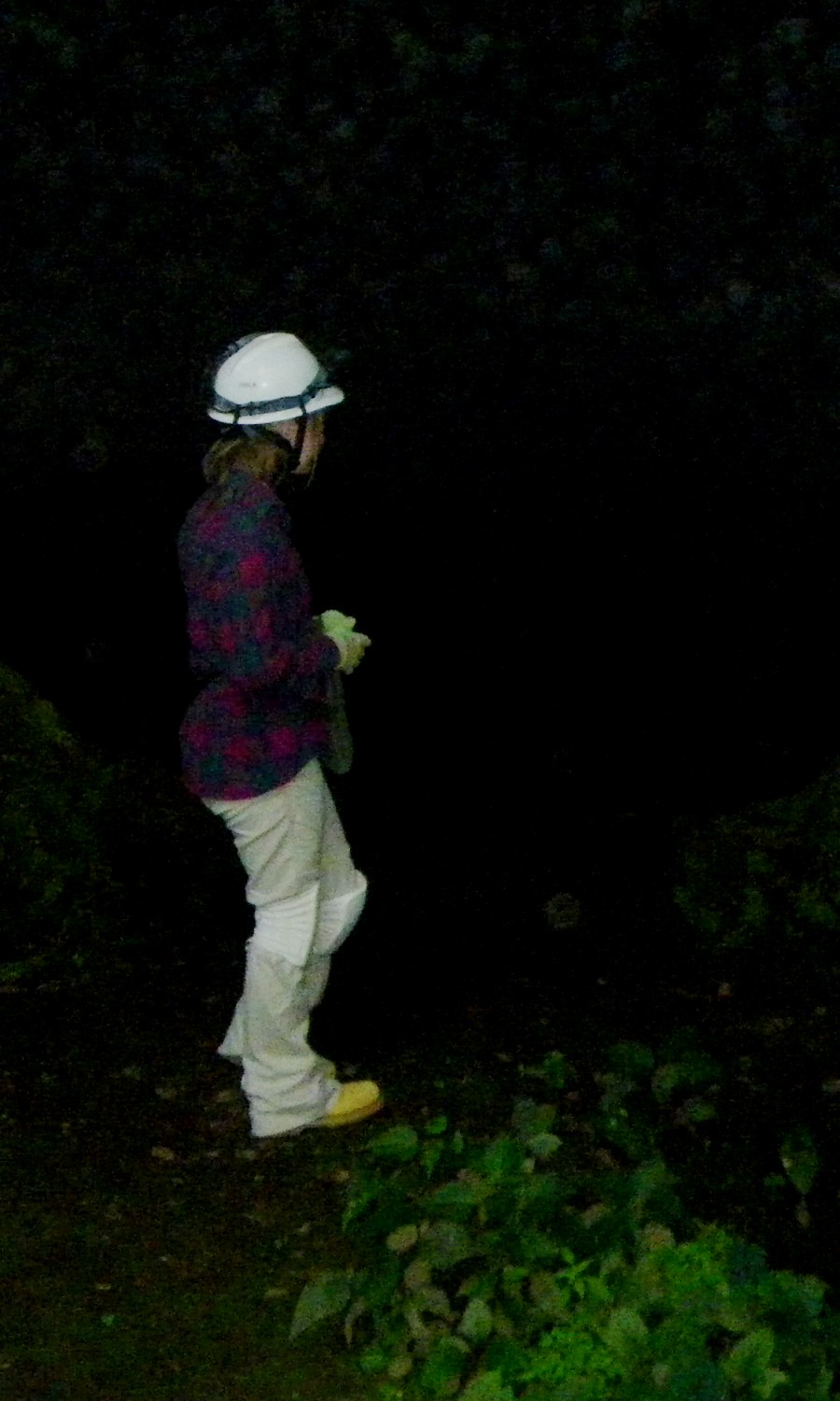 20100707 Cushman Blowing Cave Flickr