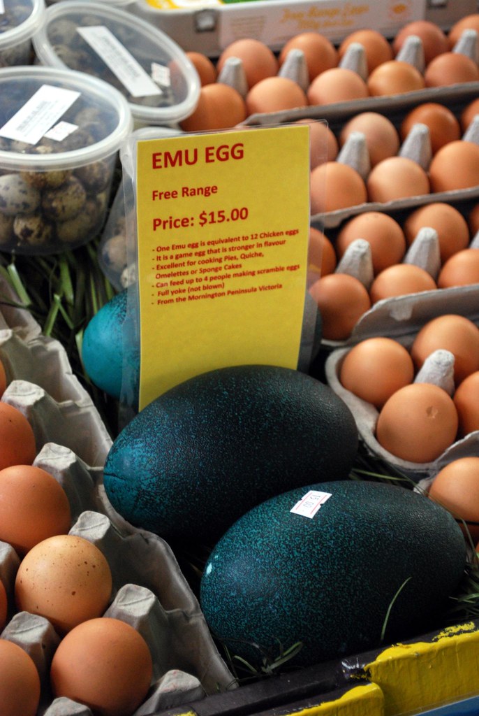 Emu Egg Eggs Plus AUD15 Eggs Plus 0415 791 201 Shop 021 … Flickr