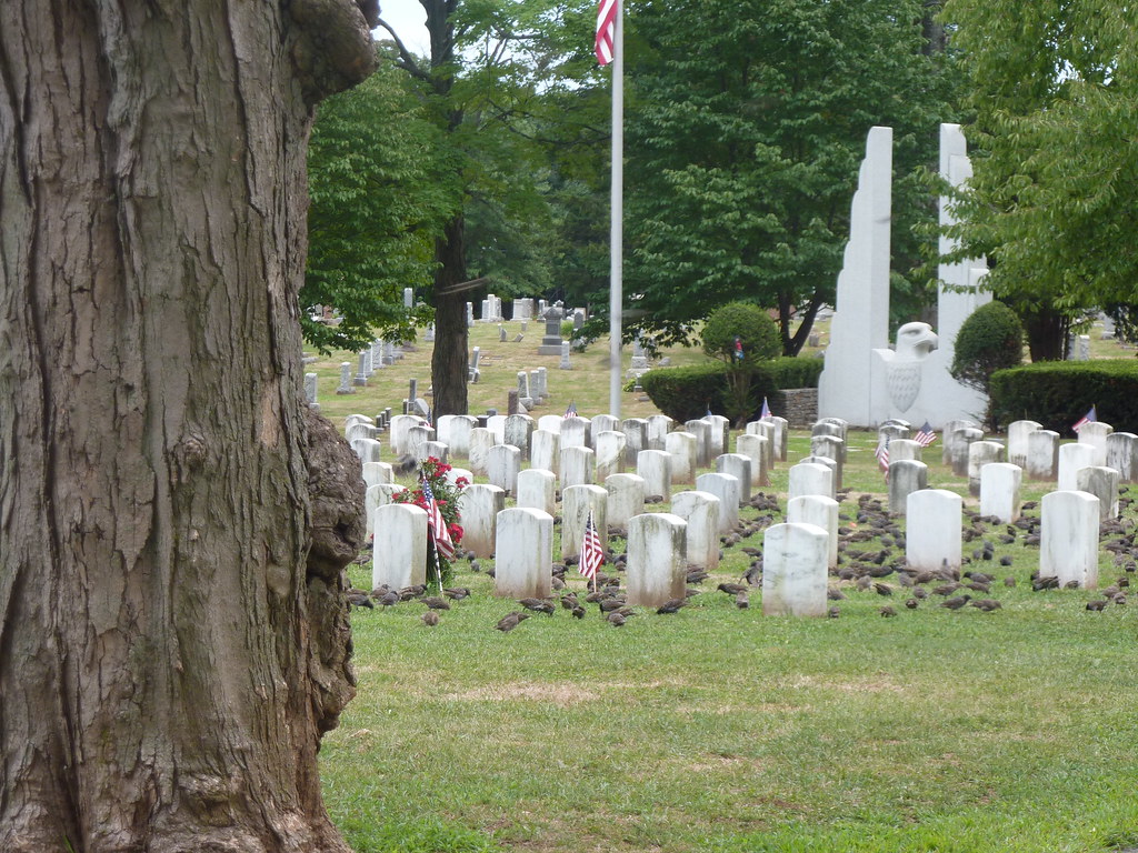 Fairview Cemetery Fairview Cemetery, New Britain, Connecti… Lisa