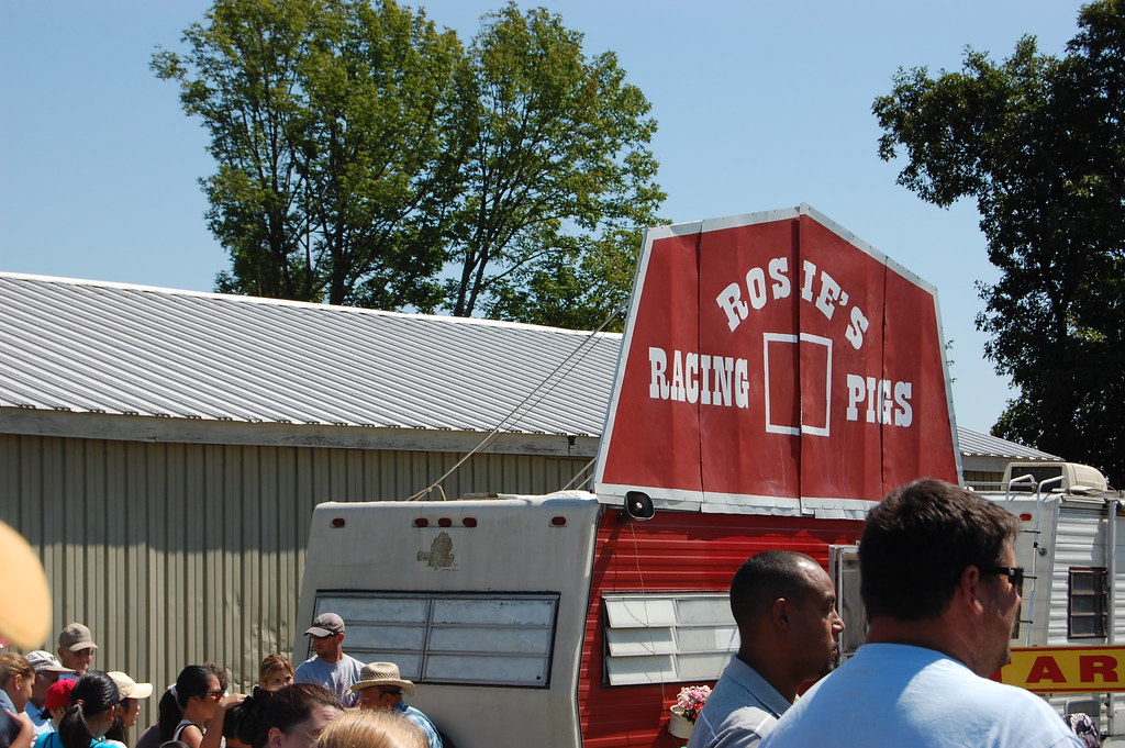 Terryville Fair Rosie's Racing Pigs uconnn Flickr