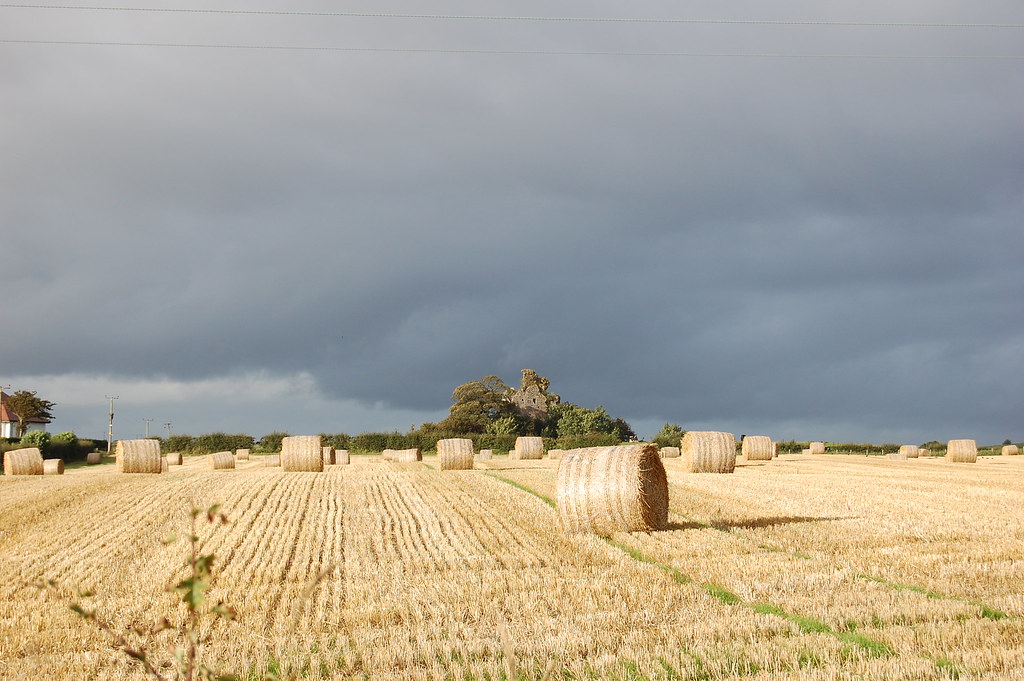Craigie Castle The remains of Craigie Castle, Craigie, Ayr… Flickr