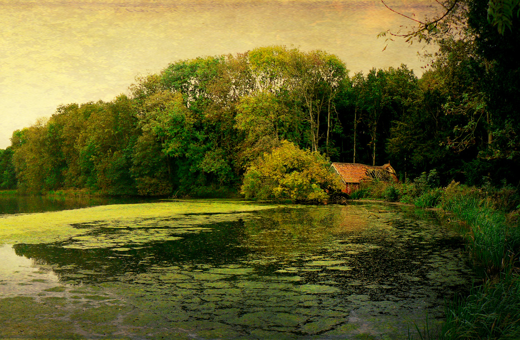 Abandoned Boathouse, Londesborough Park. The Wolds Way, Ea… Flickr