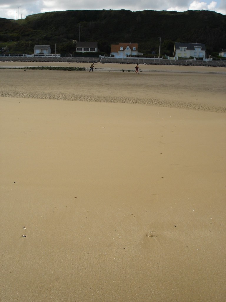 Omaha Beach Dog Green Matthewpini Flickr