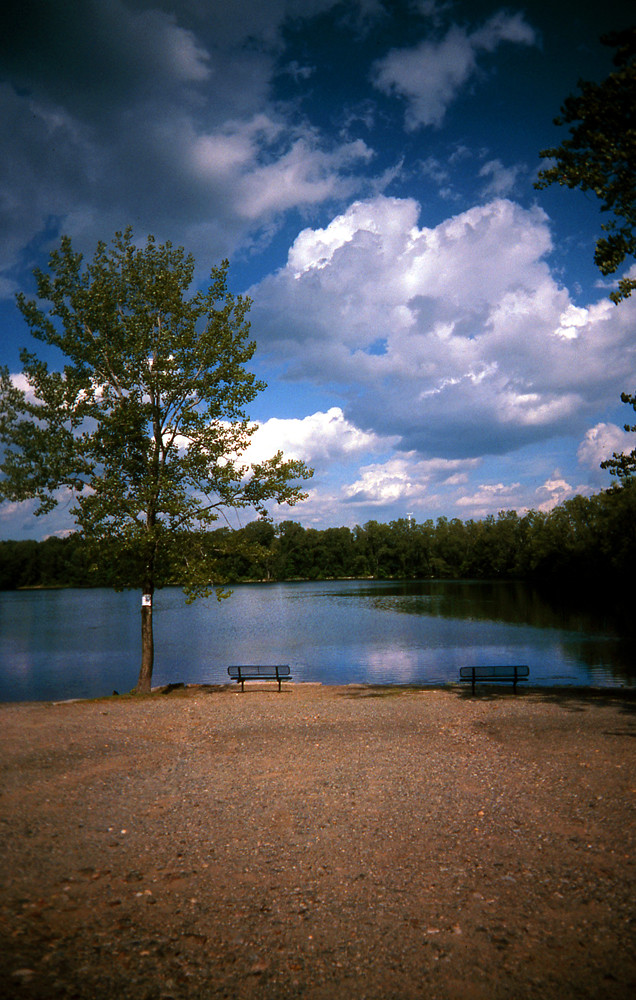 Woodland Lake / Summer 2010 Pompton Plains, NJ USA 8/8/201… Flickr