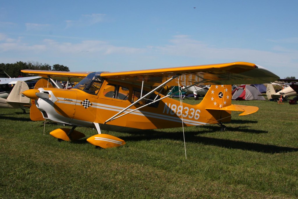 IMG_9550 (Blakesburg FlyIn 2010) D. Miller Flickr