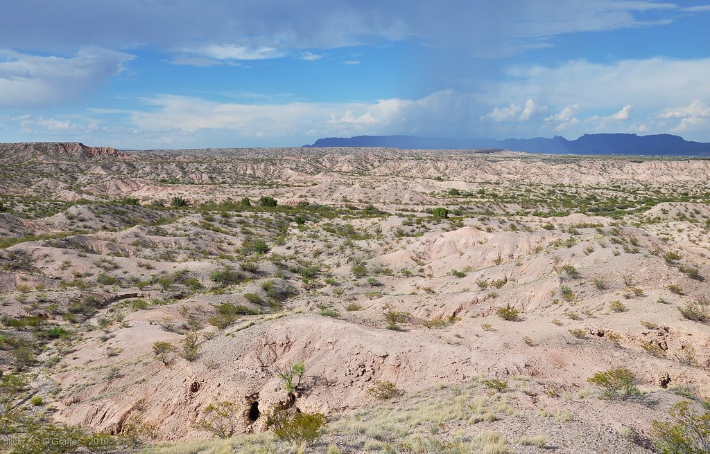 Chihuahuan Desert Landscape Sierra County, NM The rugged… Flickr