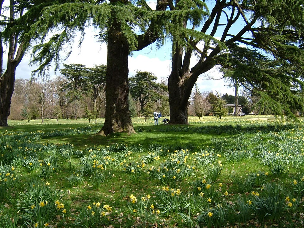 Ickworth Park (NT) 17042006 The exterior of the EarlBis… Flickr