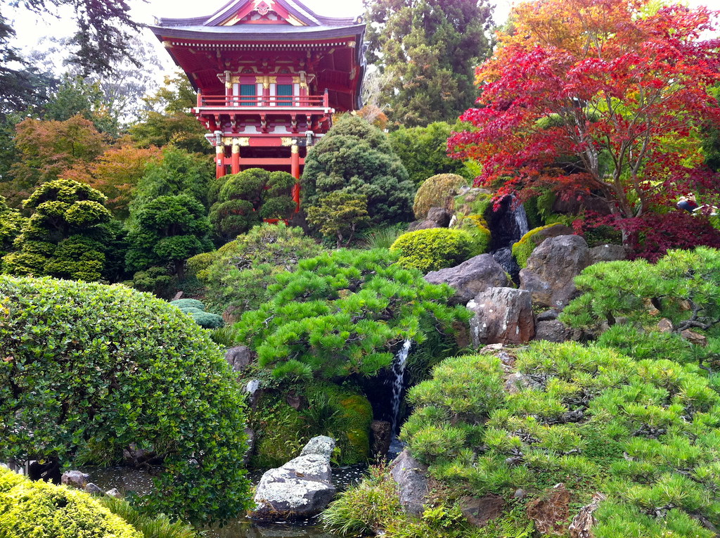 Japanese Tea Garden Steve Flickr