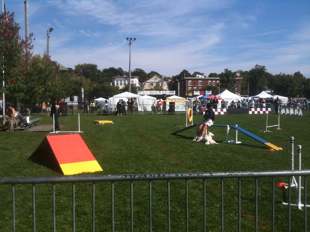 Conway Park Somerville Dog Festival somervilledog Flickr