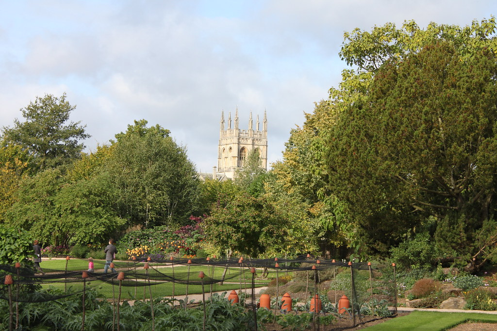Oxford Botanic Gardens flowers More flower pics at garde… Flickr