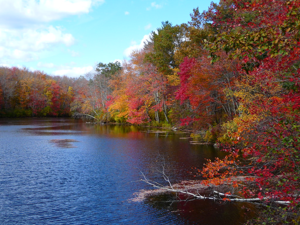 Last colors White Mill Park, Pascoag RI 1010180591 This.Usually