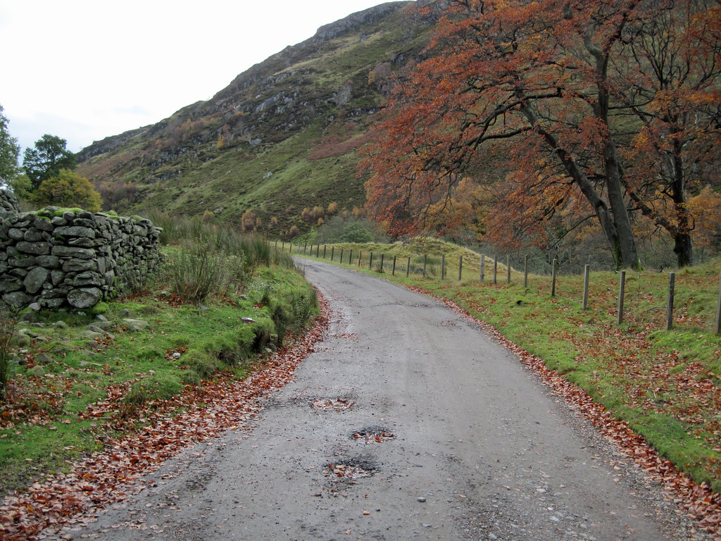 Glen Almond nz_willowherb Flickr