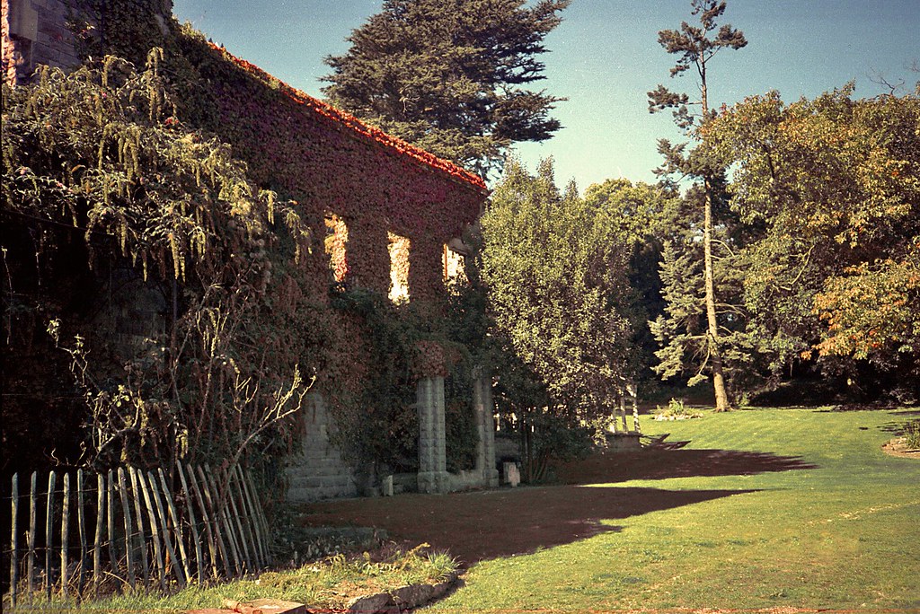 Tidenham House, 1989 This shows the remains of the manor h… Flickr