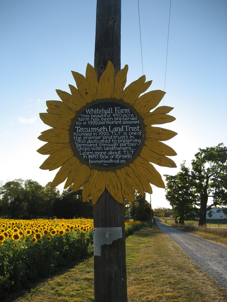 Yellow Springs Sunflower Field Information about the land.… Flickr