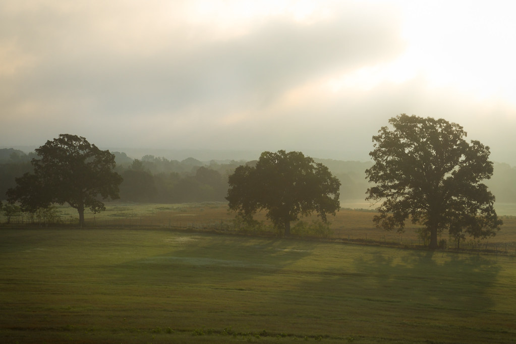 Lake Tyler, Texas, USA Sunrise Sunset Times