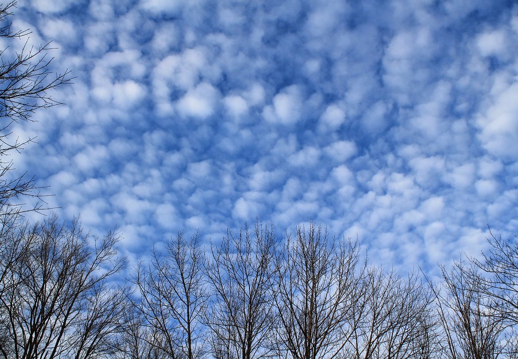 Altocumulus in the Morning Taken in Monticello, NY using a… Flickr
