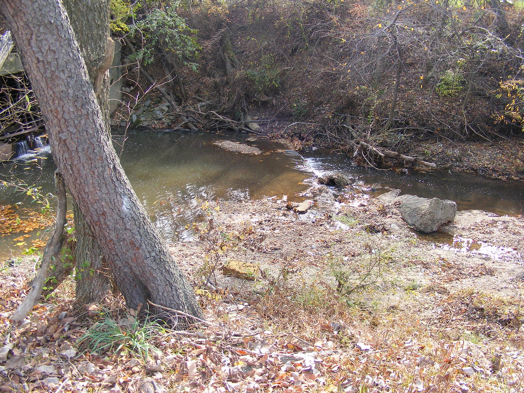 Watts Branch The environmental elements of the project are… Flickr