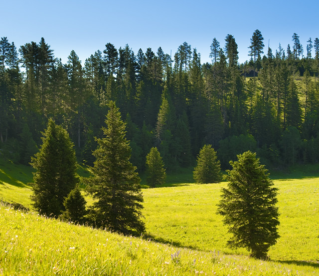 Outdoor Activity Greenview Estates Greenview Estates Flickr