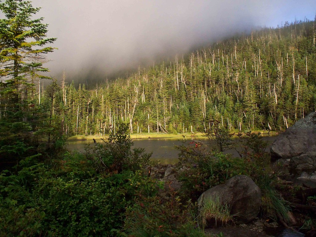 Lake Arnold I camped near here on my first backpacking tri… Flickr