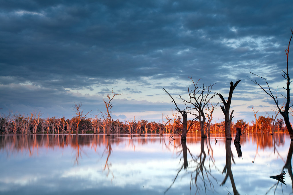 Forbes Lake I've been MIA for couple of months now. In fac… Flickr