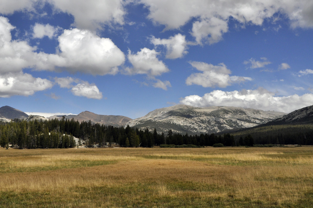 Golden Meadow California, Yosemite, yellow, blue, nature, … Flickr