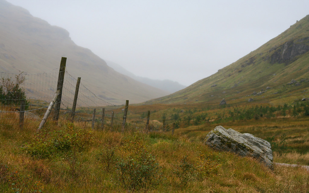 Loch Lomond And The Trossachs National Park. Birdsnest. Flickr