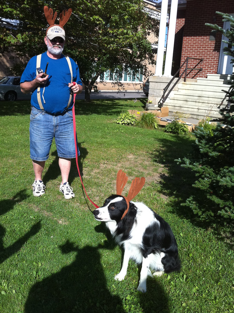 Colebrook Moose Festival 3 Antlers everywhere. Teresa Nielsen